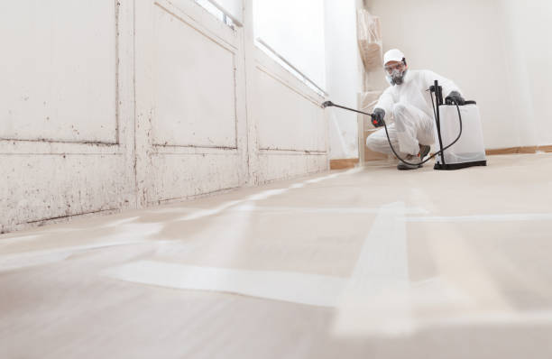 24/7 Emergency Black Mold Remediation experts in Fife, WA